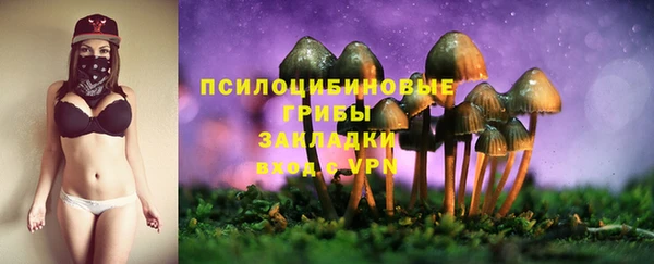 прущая мука Армянск