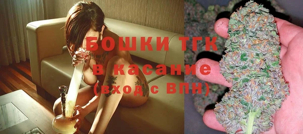 крисы Аркадак